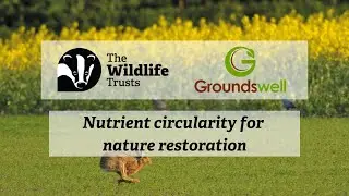 Nutrient circularity for nature restoration