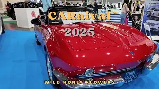 Exploring CARnival 🚗 2025 | Cars, Culture & Good Vibe