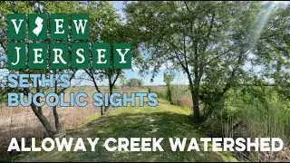 View Jersey: Seth's Bucolic Sights - Alloway Creek Watershed-Episode 12