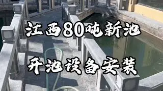 80吨锦鲤池开池 顶配鱼池设备安装#专业的事交给专业的人 #观赏鱼 #庭院鱼池 @红鲲水族旗舰店