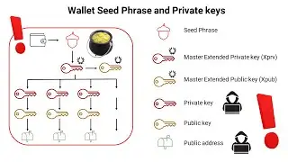 Protecting Your Crypto Assets: Why Seed Phrases and Private Keys Are Vital