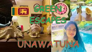 Discover Green Escapes Unawatuna : Stunning Beach|අමතක නොවන ලස්සන Hotel එකක ඉදලා එන්න ඔයාලත් කැමතිද?