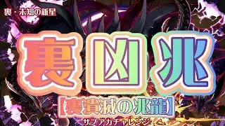 【裏・未知の新星、裏潰滅の兆龍】裏凶兆、日向編成【パズドラ】