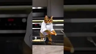 #CatChef#PancakeCat#КотикБлинчик#ChefCatMode#БлиныОтКота#CatCookingShow