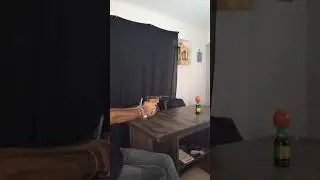 gun shot| #experiment #reallifehacks #schoolexperiment #hacks