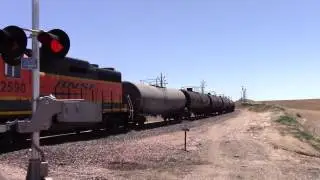 GP35u on BNSF Mixed Freight Train, Berthoud Hill