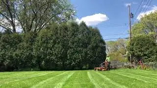 Lawn mowing lawn care Bloomington Minnesota 55437 ABO Services