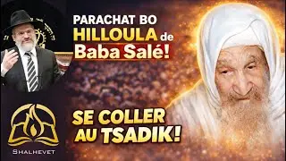 Parachat Bo 👑🔥 SE COLLER AU TSADIK : LE CHEMIN LE PLUS RAPIDE VERS LA BRAKHA ! - Rav Michael Ifrah 