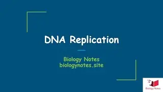 DNA replication || Short Notes || A-Level || NEET || Biology #biology #biologynotes #biology101