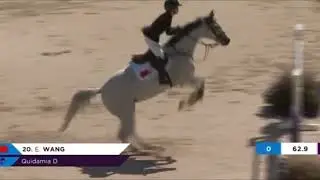 Quidamia D & Ella are making history in the Agria FEI World Jumping Championship at Herning 2022