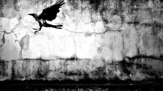 Aereogramme - Living Backwards