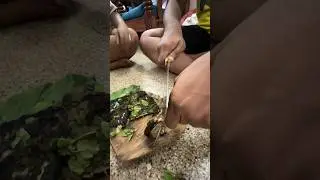 Mutton chops-Glimpse |Semmaya Saapidrom semmaya roosikirom #homecookingchannel |Always welcome you|