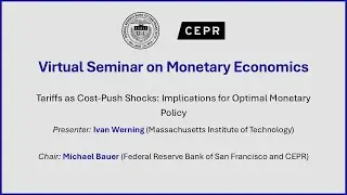 Virtual Seminar on Monetary Economics - Ivan Werning (Massachusetts Institute of Technology)
