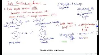 A level chemistry amines explained to student in  UK live by scantutor