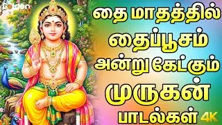 தைப்பூசம் அன்று கேட்கும் முருகன் பாடல்கள் | 2026 Thaipoosam Murugan Special Songs