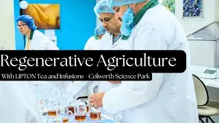 Inside Lipton Tea and Infusions: Regenerative Agriculture at Colworth Science Park