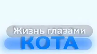 Silver, ЖГК - Жизнь Глазами Кота (официальная песня)