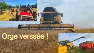 MOISSON ORGE  2025 !!