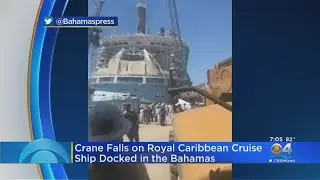 Royal Caribbean Cruise Ship Docked In Grand Bahamas Hit By Falling Crane