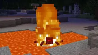 I Found My First Sheep&hellip; But Almost Died Doing It