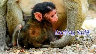 Newborn of Marria Likely Sad, Baby Want to learn walk with some one