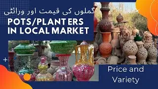 Pots and planters in local market |  price & variety