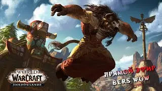 Вставай мой маленький друид Circle 9.2.7 World of Warcraft Shadowlands стрим (без мата)