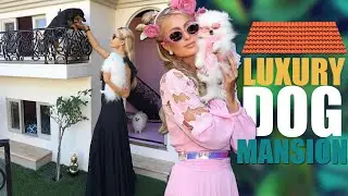 Paris Hilton's $300K Luxury Dog Mansion