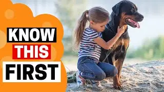 Rottweilers as Family Pets: What You Need to Know!