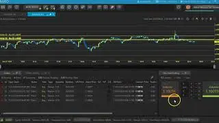 Apiary Fund Trading Session 22.4 pips - Much in Fast Motion