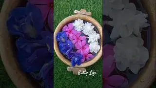 💜💙Colourful Urli Decoration Ideas at 🏡 Festival Season #viral #decoration #trending #urlidecoration