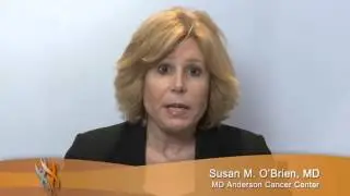 What are the roles Sokal and Hasford risk calculations have in prognosis and treatment of CML?
