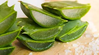 6 Incredible benefits of aloe vera for hair, skin and weight loss | Health And Nutrition