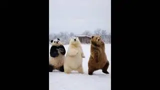 3 Bears Playing Together 🐻❄️🐼 | Polar, Panda & Brown Bear Trend