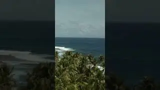 Caribbean paradise 🌴