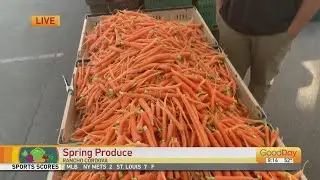 Your Produce Man At the Light Rail Farmers' Market!