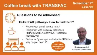 TRANSFAC pathways. How to find them?
