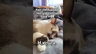 #animation #duo #emojicat #duoedit #funny #perfectduo #flipaclip #cat #cats  #meow #pets меня никак😅
