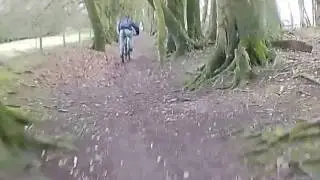 Cheesefoot Head Woods