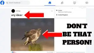 Прекратите спрашивать в Facebook! Простые способы мгновенно определить любую птицу.