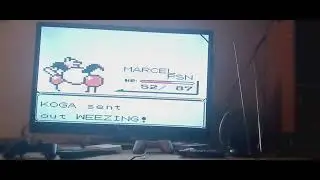 Pokemon red version me vs  koga for the soulbadge