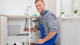 Randwick Pest Controllers the Natural Way of Pest Controllers