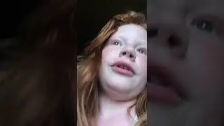 Je vous pr&eacute;sente tous mes animaux ( le chaton que vous avez vu sur l&rsquo;arbre &agrave; chat s&rsquo;appelle Simba)