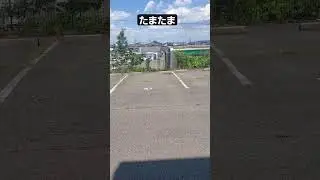 ６月５日パート2 晴れ　#たまたま