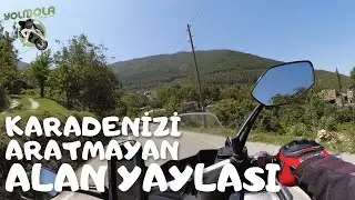 ALAN YAYLASI / YOLMOLA