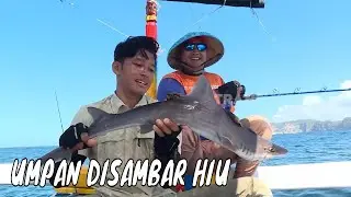 Sensasi Sambaran Predator Perairan Jember | MANCING MANIA STRIKE BACK (25/08/24) Part 2