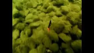 no snag river2