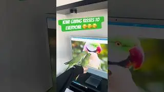 Talking ringneck parrot says 