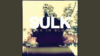 Back in Bloom (Alternative Mix)