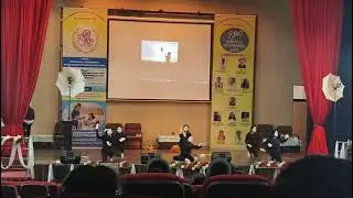 mimikari performance based on